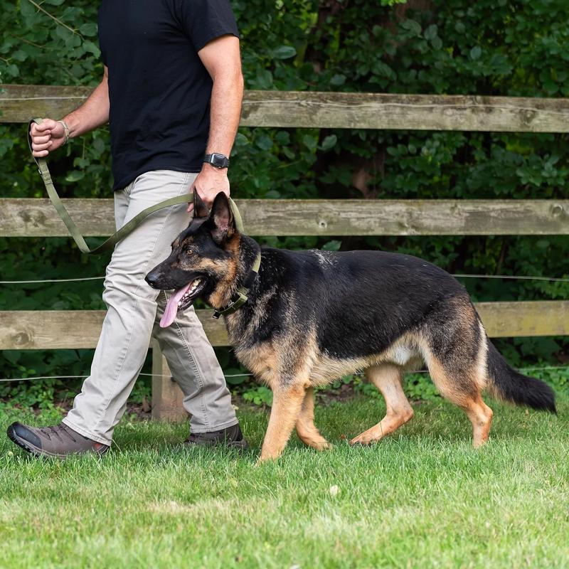 Operation Good Boy Tactical Green Nylon Dog Leash