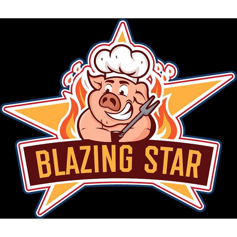 Blazing Star Bar-B-Q Rub/Seasoning 12.1 oz