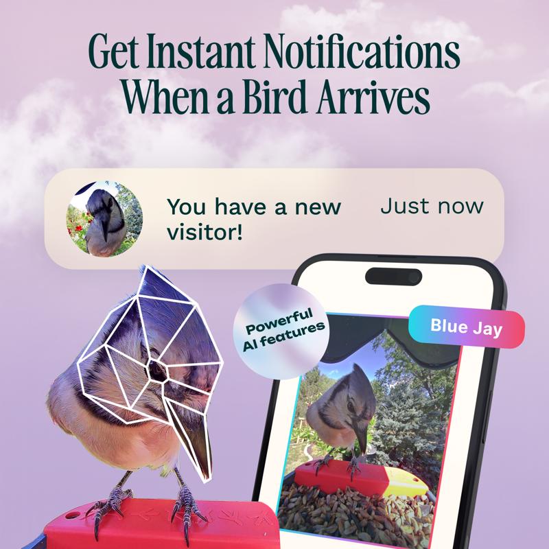 Bird Buddy 4 cups Plastic Perch Extender Smart-Enabled Smart Solar Camera Bird Feeder 1 ports