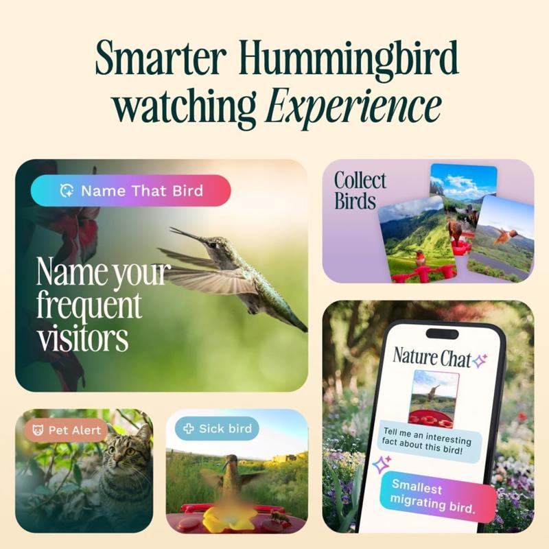 Bird Buddy Hummingbird 1.75 cups Plastic Smart-Enabled Smart Solar Camera Bird Feeder 3 ports