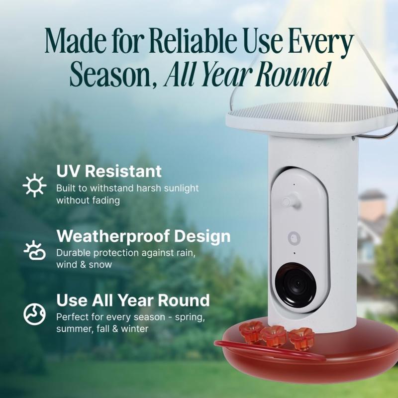 Bird Buddy Hummingbird 1.75 cups Plastic Smart-Enabled Smart Solar Camera Bird Feeder 3 ports