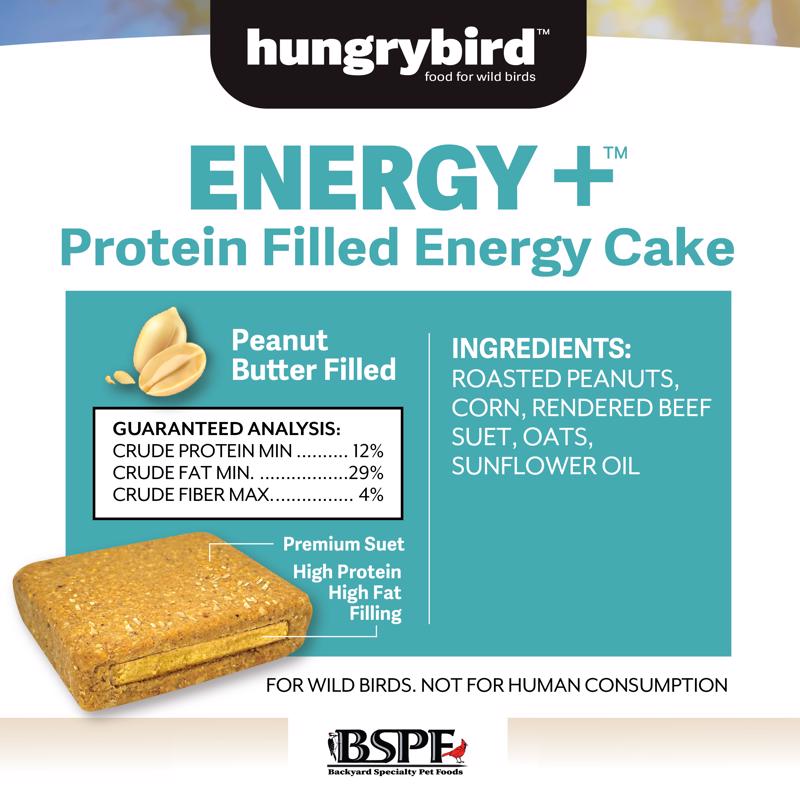Hungrybird Suet 12 oz
