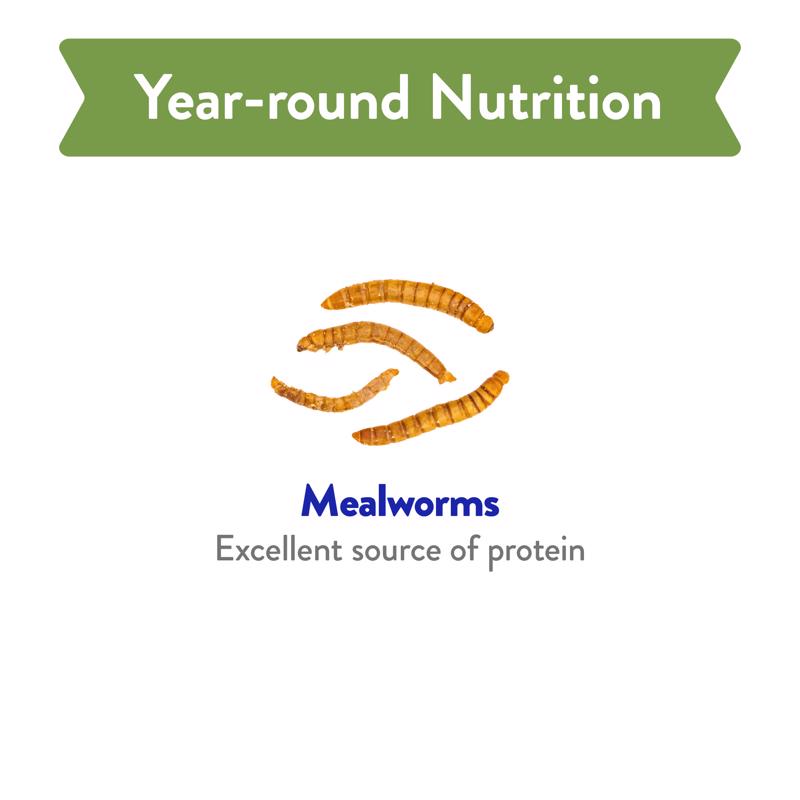 Chirp Mealworms Wild Bird Food 16 oz