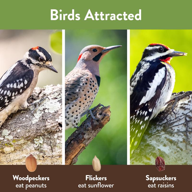 Chirp Woodpecker Wild Bird Seed Cake 24 oz