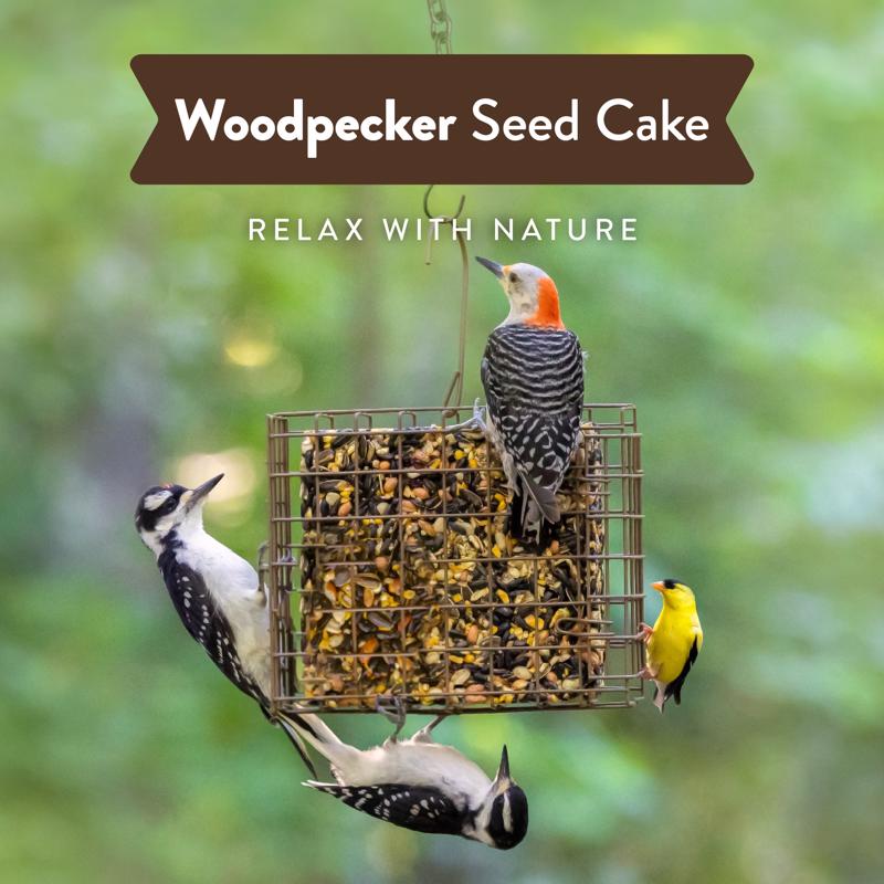 Chirp Woodpecker Wild Bird Seed Cake 24 oz