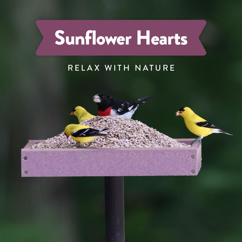 Chirp Pure Seed Sunflower Hearts Wild Bird Food 8 lb