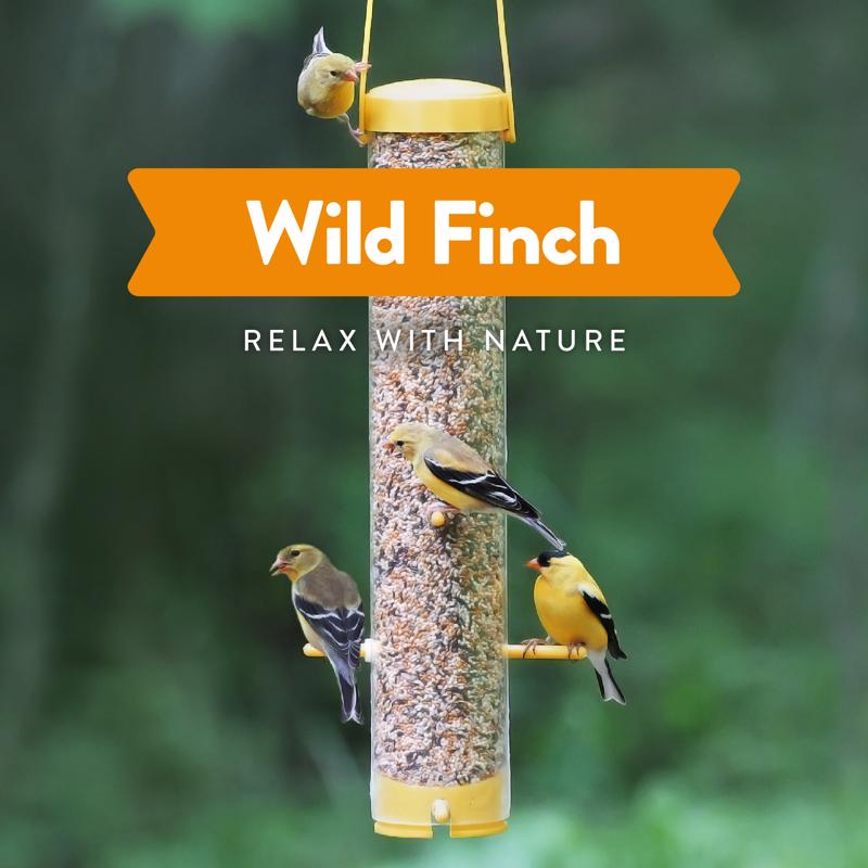 Chirp Wild Finch Wild Bird Food 18 lb