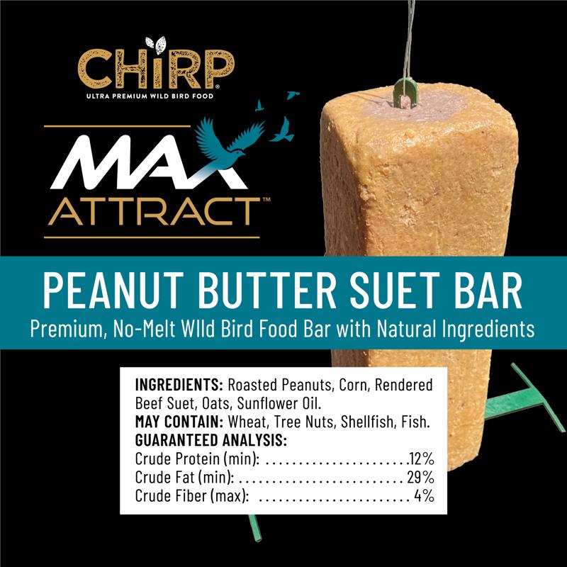 Chirp Max Attract Peanut Butter Suet 17 oz