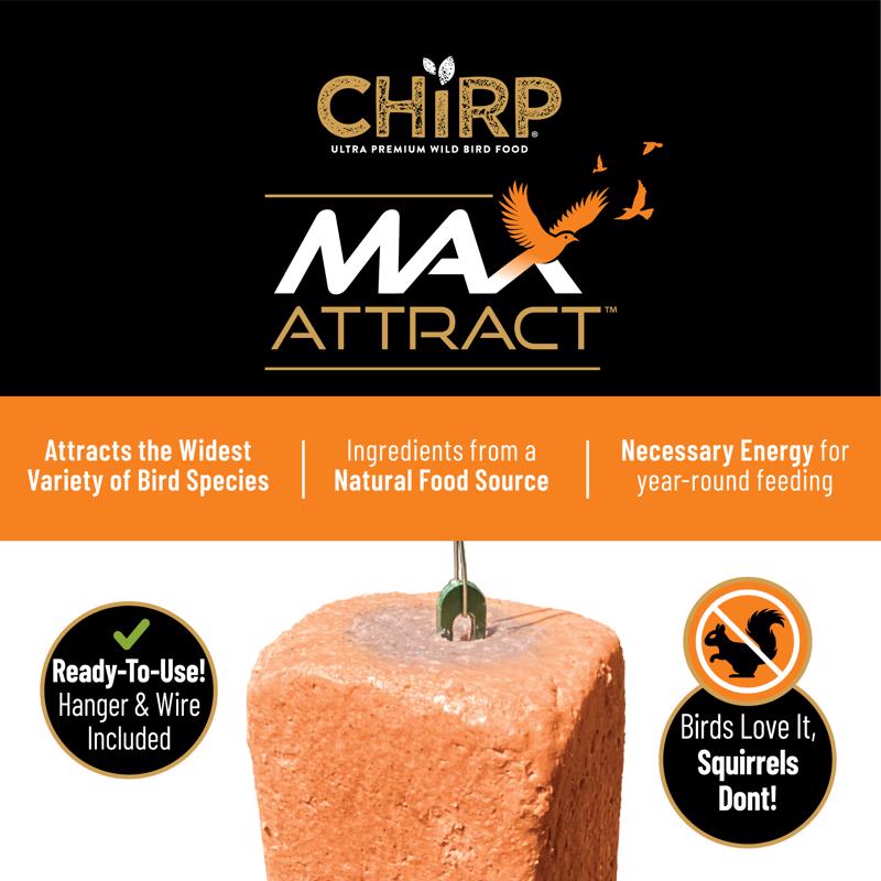 Chirp Max Attract Hot Pepper Suet 17 oz