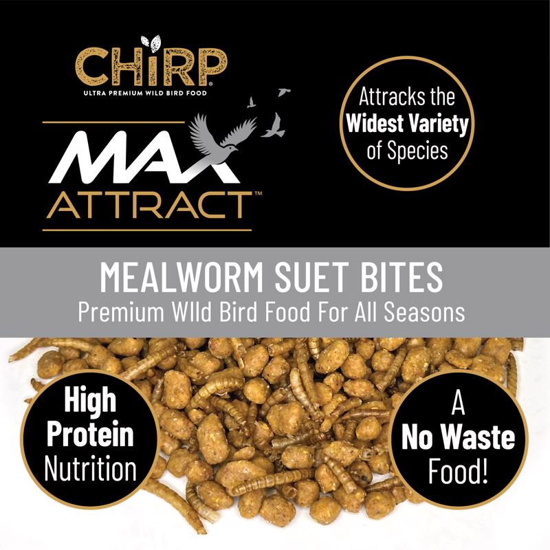 Chirp Max Attract Mealworm Suet 3 lb