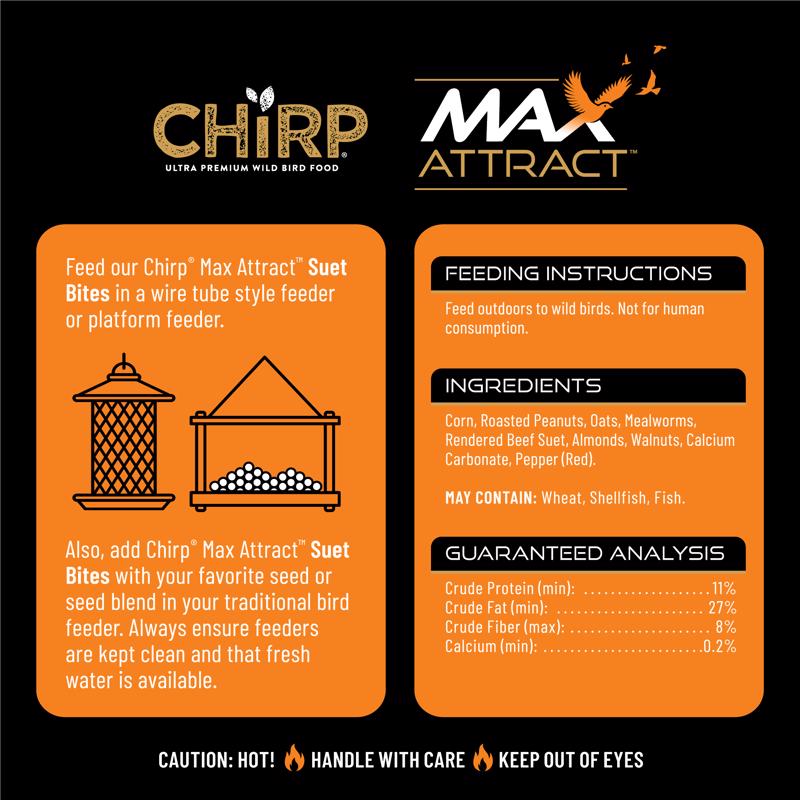 Chirp Max Attract Hot Pepper Suet 3 lb