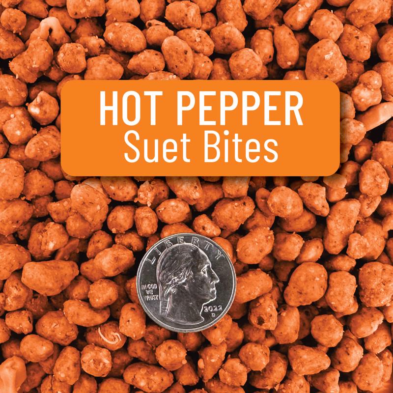 Chirp Max Attract Hot Pepper Suet 3 lb