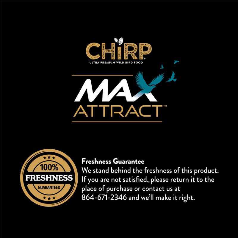 Chirp Max Attract Peanut Butter Suet 3 lb
