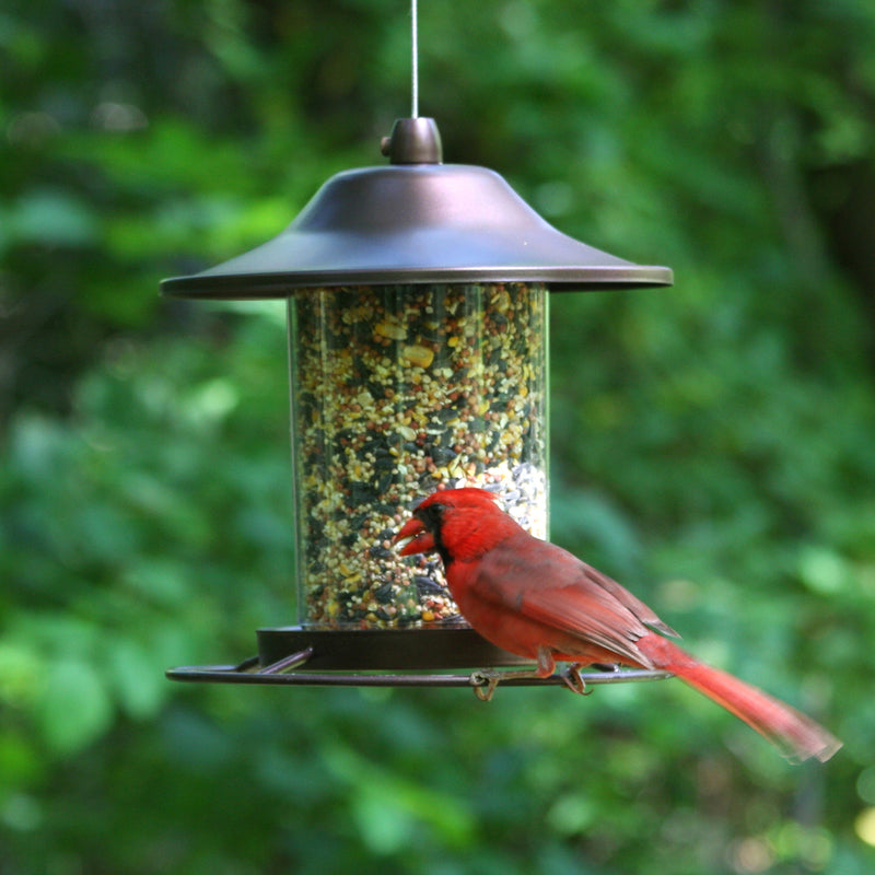 Perky-Pet Wild Bird 2 lb Metal/Plastic Panorama Bird Feeder 1 ports (2 Pack)