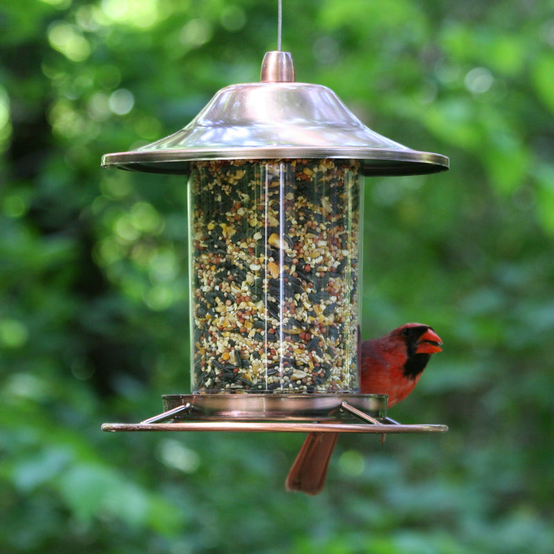 Perky-Pet Wild Bird 2 lb Metal/Plastic Panorama Bird Feeder 1 ports (2 Pack)
