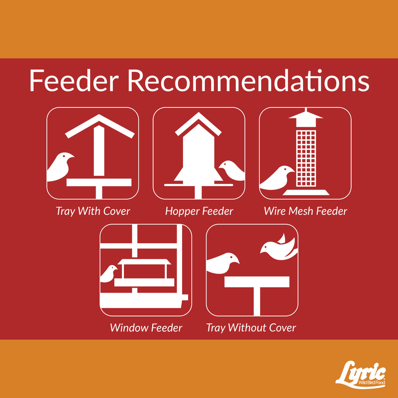 Lyric Cardinal Sunflower Seeds Wild Bird Food 3.75 lb