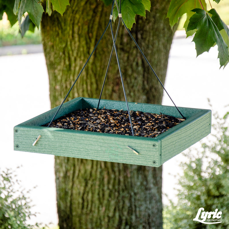 Lyric Cardinal Sunflower Seeds Wild Bird Food 3.75 lb