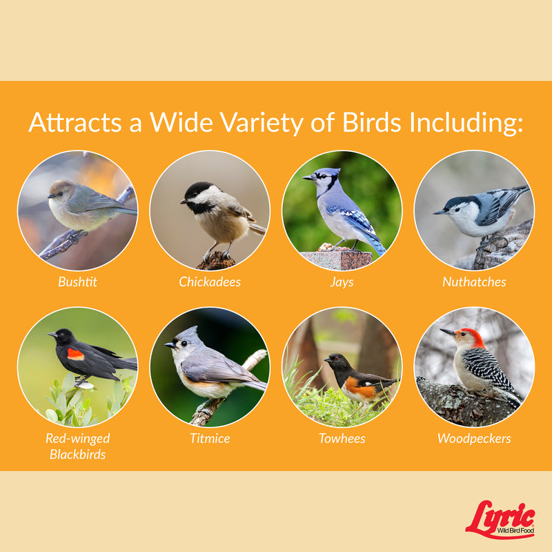 Lyric Chickadee Sunflower Seeds and Peanuts Wild Bird Food 4 lb