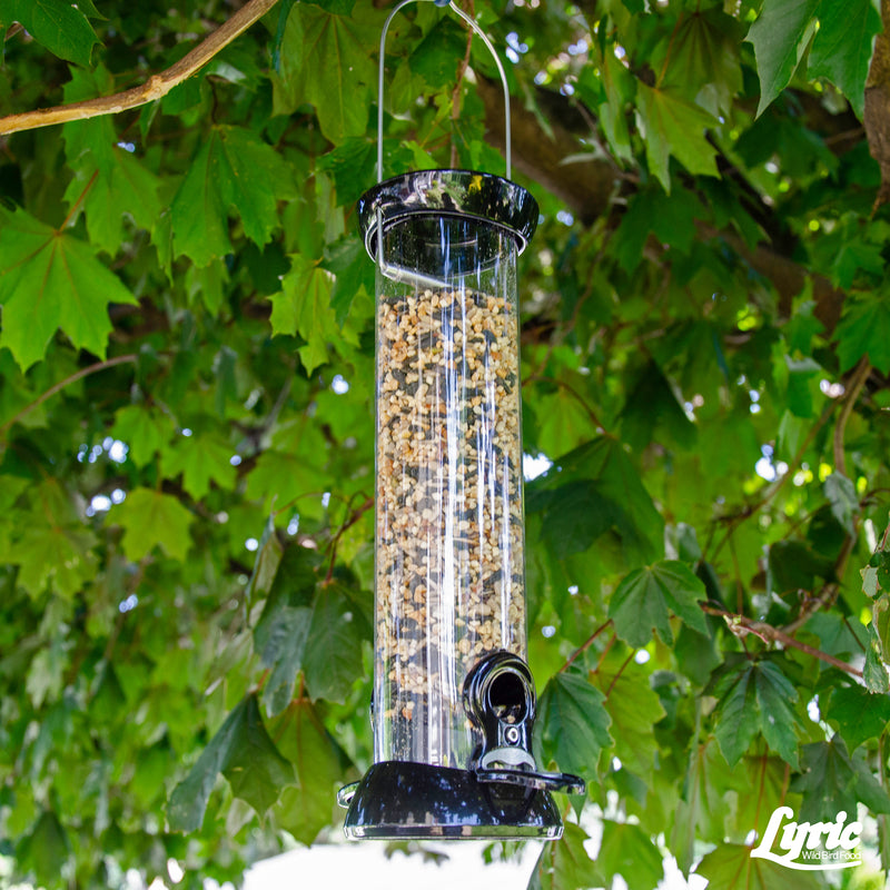 Lyric Chickadee Sunflower Seeds and Peanuts Wild Bird Food 4 lb