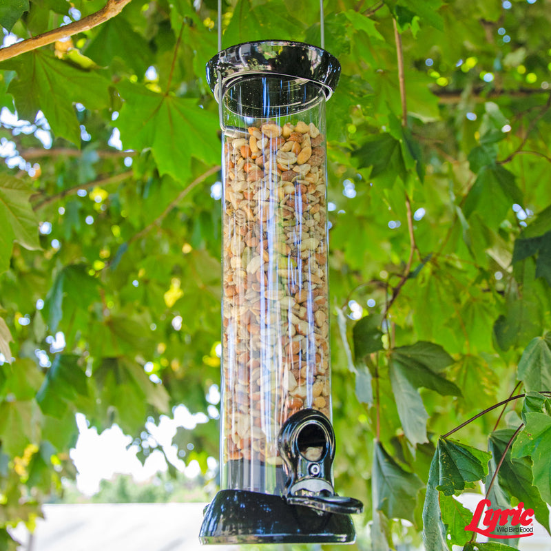 Lyric Delite Chickadee Peanut Pieces Wild Bird Food 5 lb