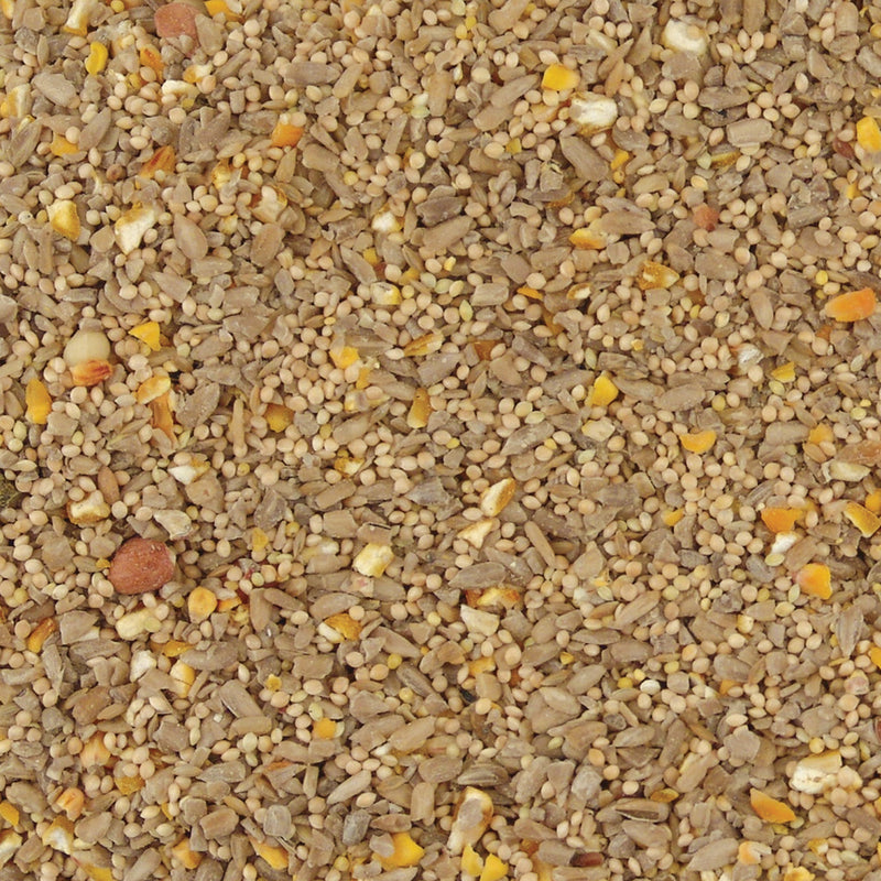 Kaytee Waste Free Songbird Hulled Sunflower Seed Wild Bird Food 10 lb