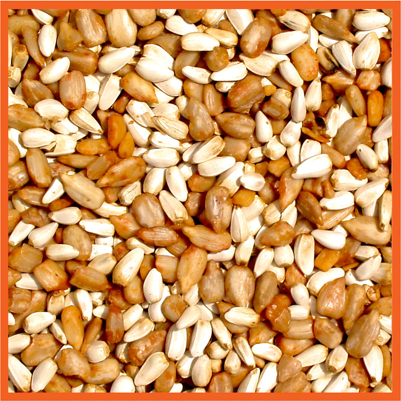 Cole's Cajun Cardinal Assorted Species Sunflower Meats Wild Bird Food 5 lb