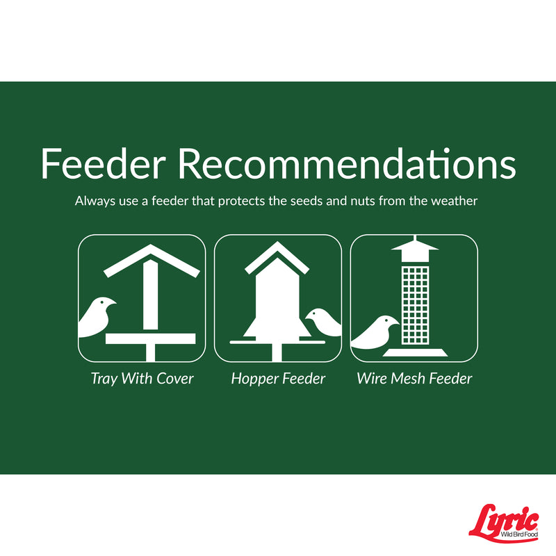 Lyric Chickadee and Nuthatch Peanut Pieces Wild Bird Food 5 lb