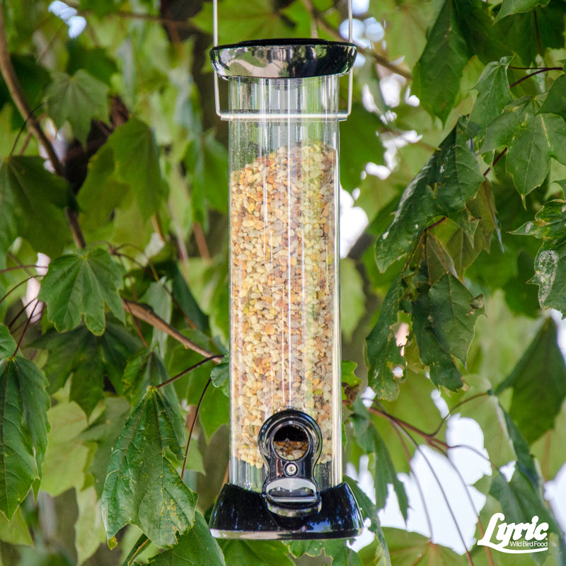 Lyric Fine Tunes Assorted Species Peanut Pieces Wild Bird Food 15 lb