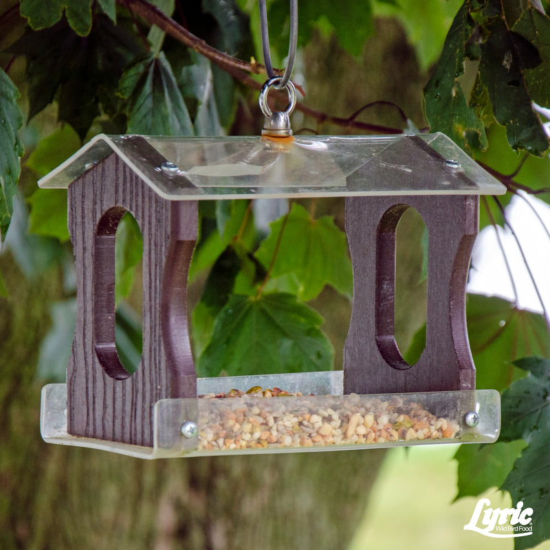 Lyric Fine Tunes Assorted Species Peanut Pieces Wild Bird Food 15 lb