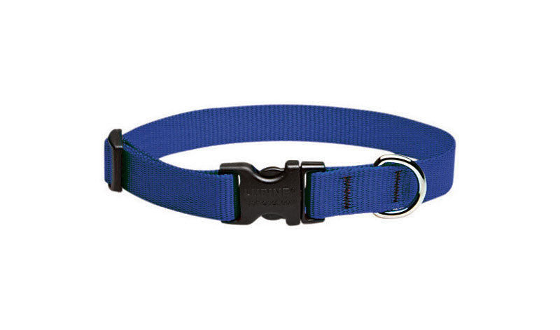 DOG COLLAR 9-14" ADJ BLU