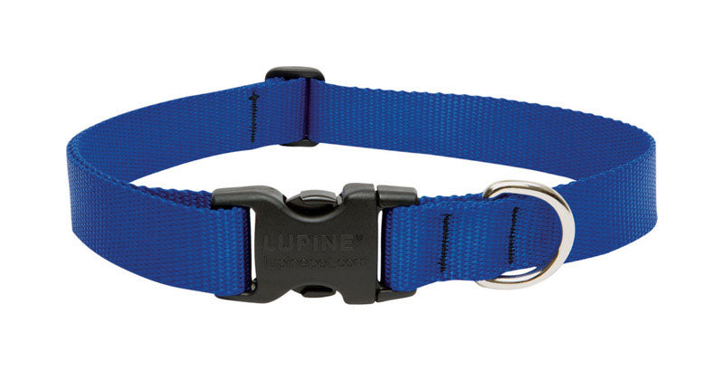 DOG COLLAR 12-20"ADJ BLU