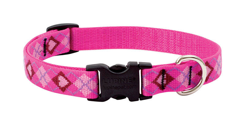 DOG COLLAR 9-14"ADJ PYLV