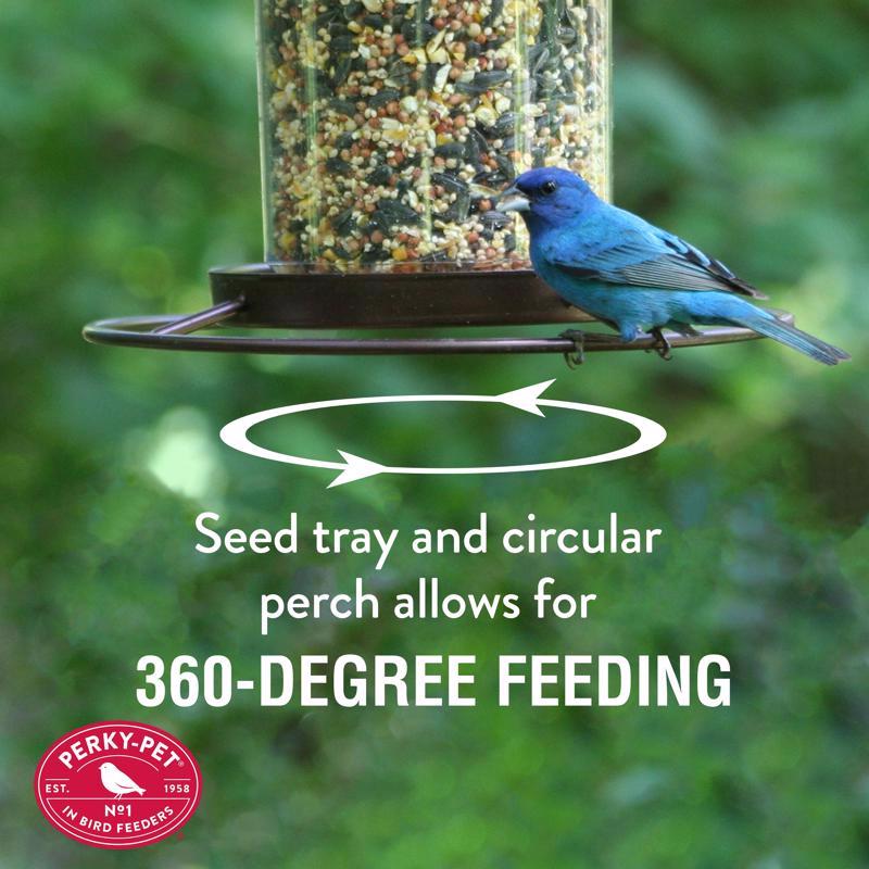 Perky-Pet Wild Bird 2 lb Metal/Plastic Panorama Bird Feeder 1 ports