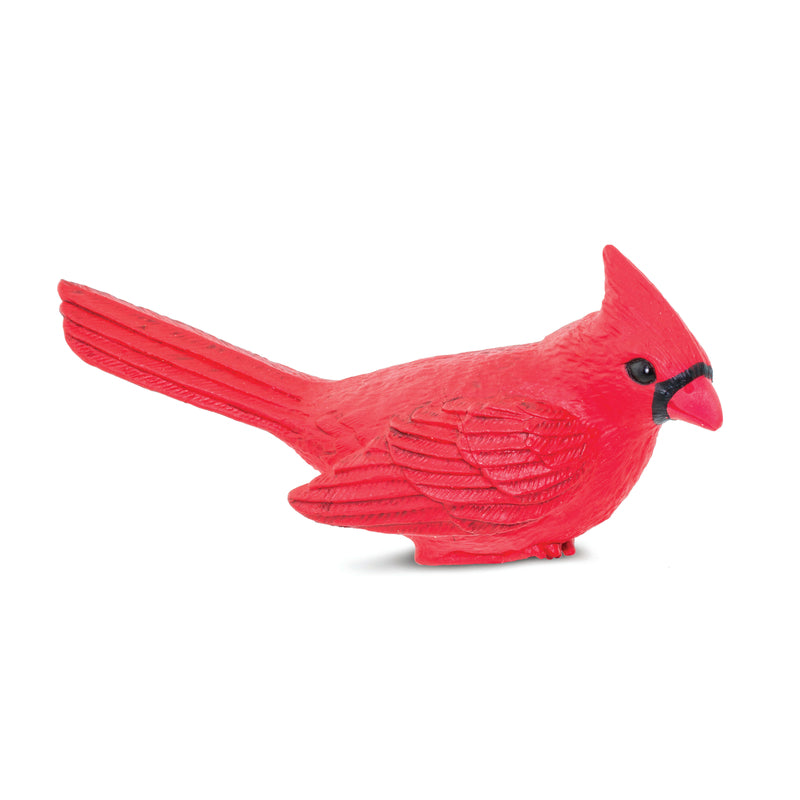 CARDINAL TOY 4.84"L 3Y+