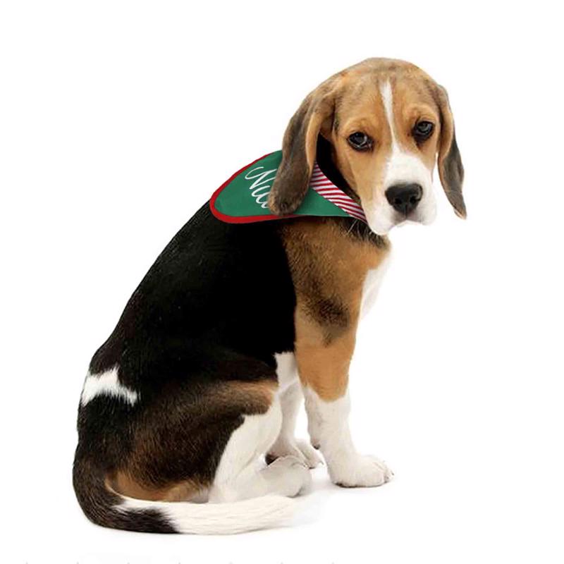 Dyno Small Bandana Christmas Pet Costume 2 pk
