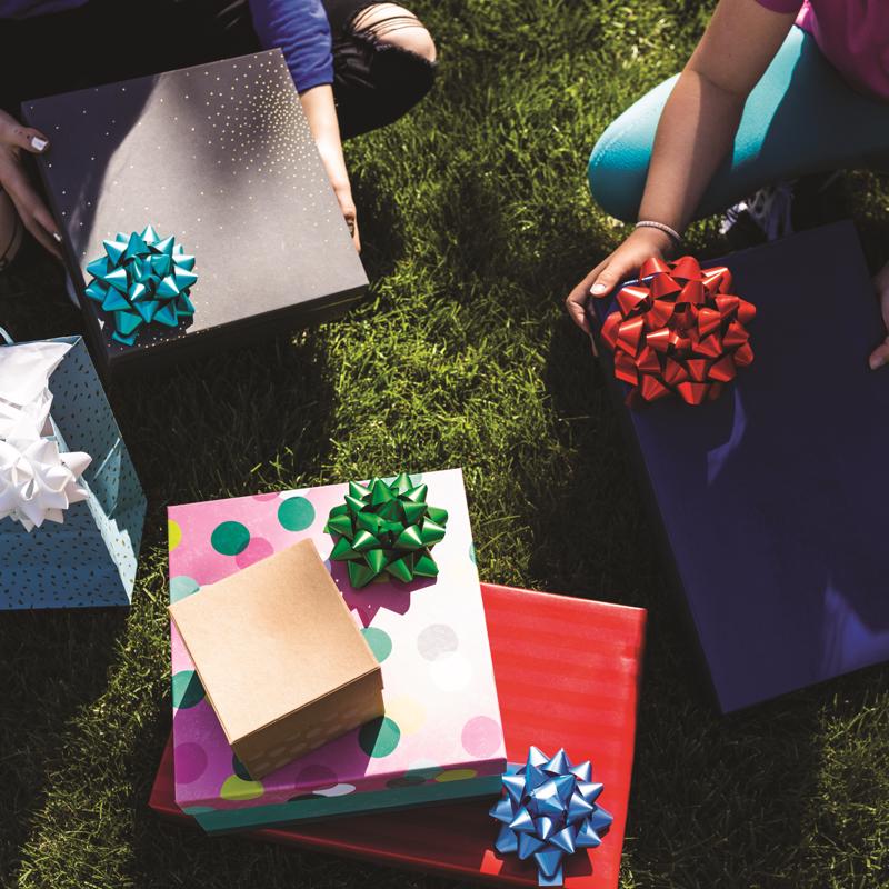 Hennessy Gift Wrap Repeat-A-Bow Pink Gift Bows