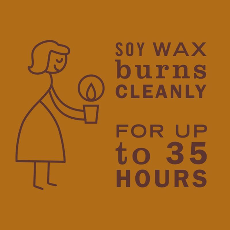 Mrs. Meyer's Clean Day White Acorn Spice Scent Candle 7.2 oz