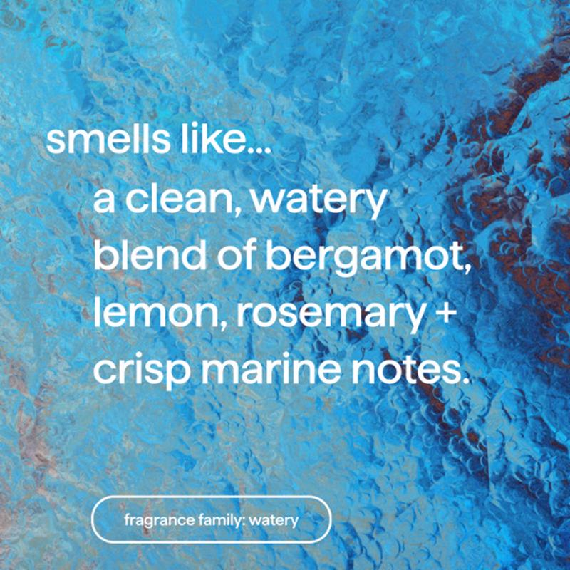 Method Sea Minerals Scent Foam Hand Wash 28 oz