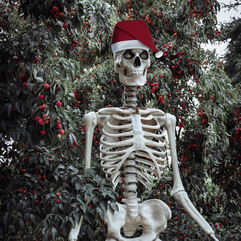 Dyno Skeleton Hat 1 pk