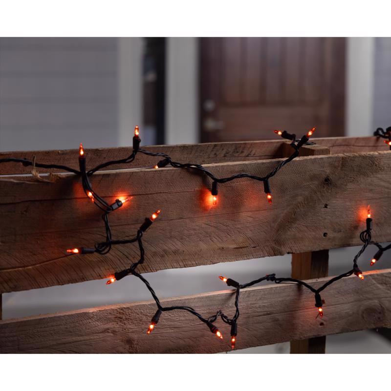 Celebrations Orange 300 ct LED Halloween T5 Classic Lights