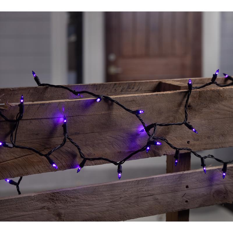 Celebrations Purple 300 ct LED Halloween T5 Purple Classic Lights
