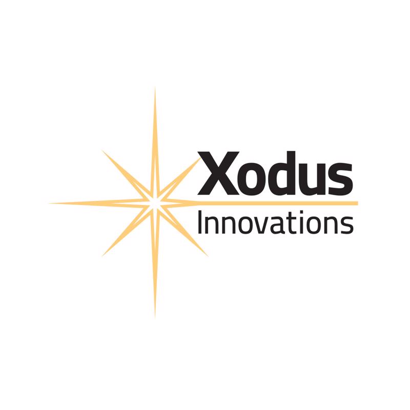 Xodus Innovations Warm White 1 ct 5 in. LED Pumpkins Lantern