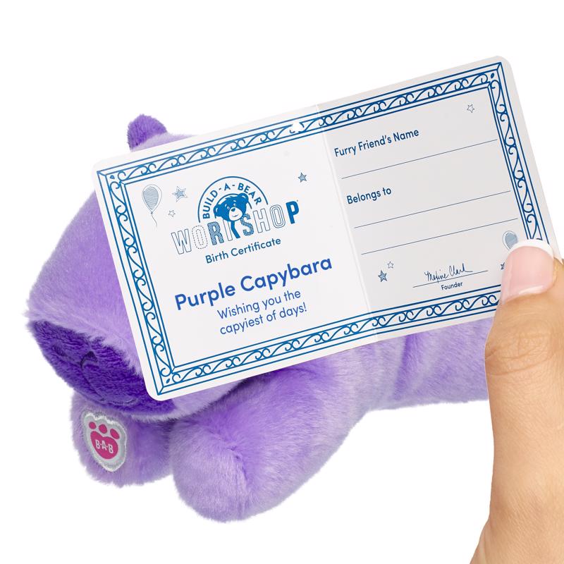 Build-A-Bear Mini Beans Capybara Plush Toy Purple