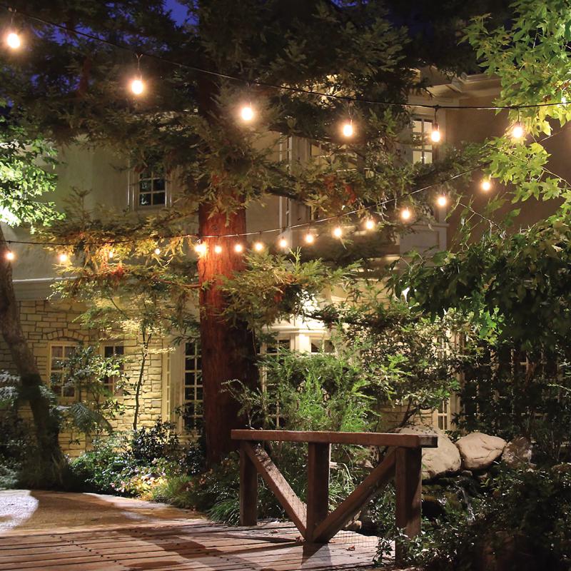 Feit Incandescent String Lights Warm White 30 ft. 10 lights