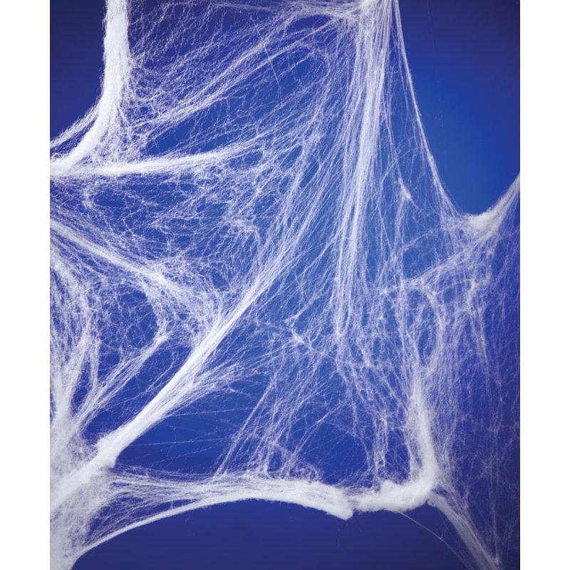 Fun World 18 in. Spider Web Halloween Decor