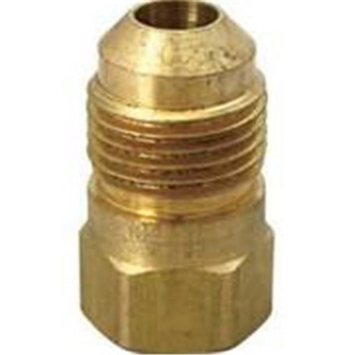 Apollo Expansion PEX / Pex A 1/2 in. Expansion PEX in to X 1/2 in. D MPT Plastic Male Adapter