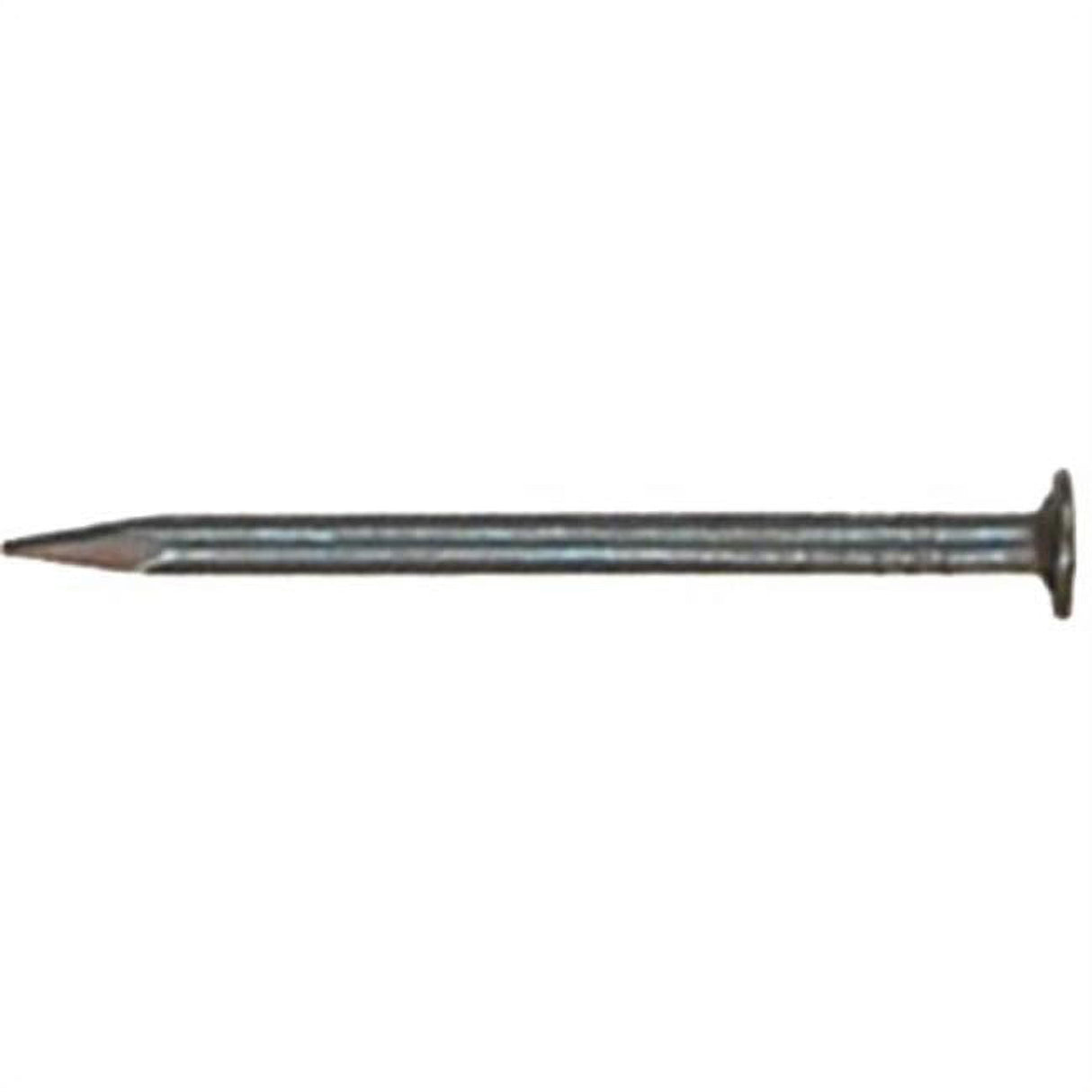 Grip-Rite 3 in. Roofing Electro-Galvanized Steel Nail Flat Head 5 lb