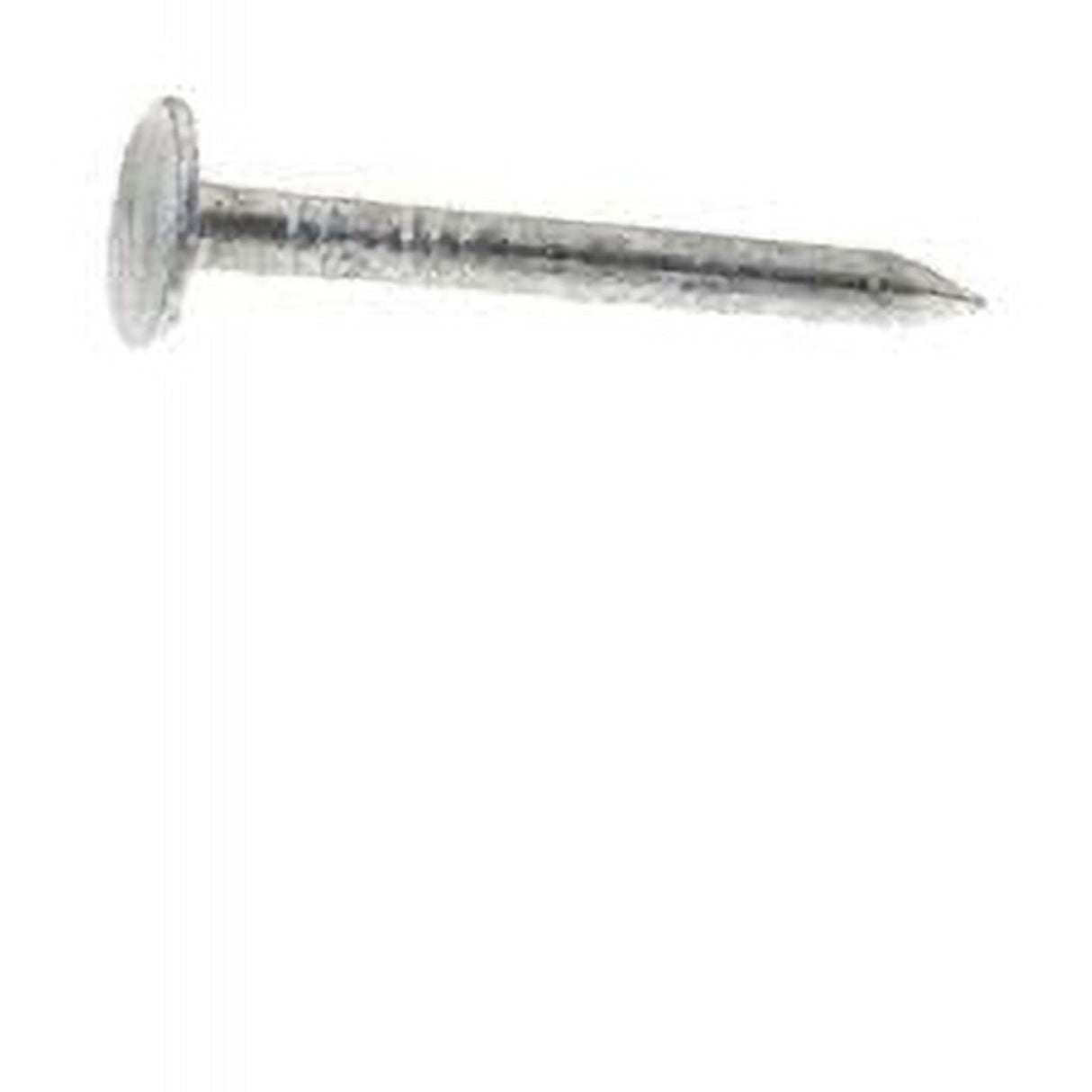 Grip-Rite 1-1/4 in. Roofing Hot-Dipped Galvanized Steel Nail Flat Head 30 lb