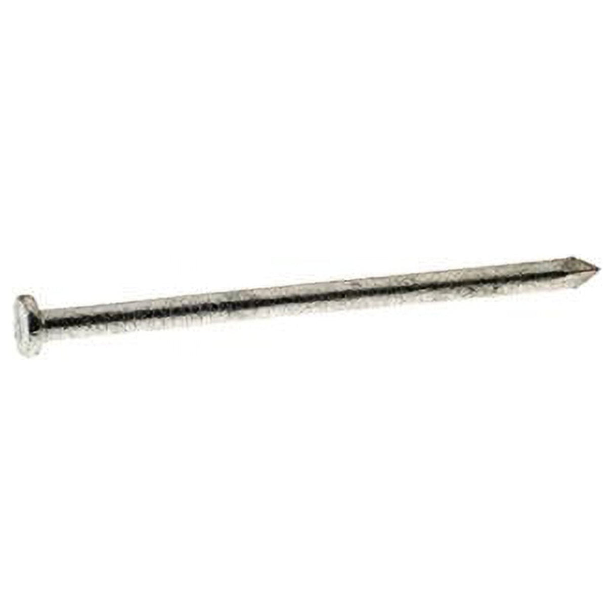 Grip-Rite 20D 4 in. Common Hot-Dipped Galvanized Steel Nail Flat Head 5 lb