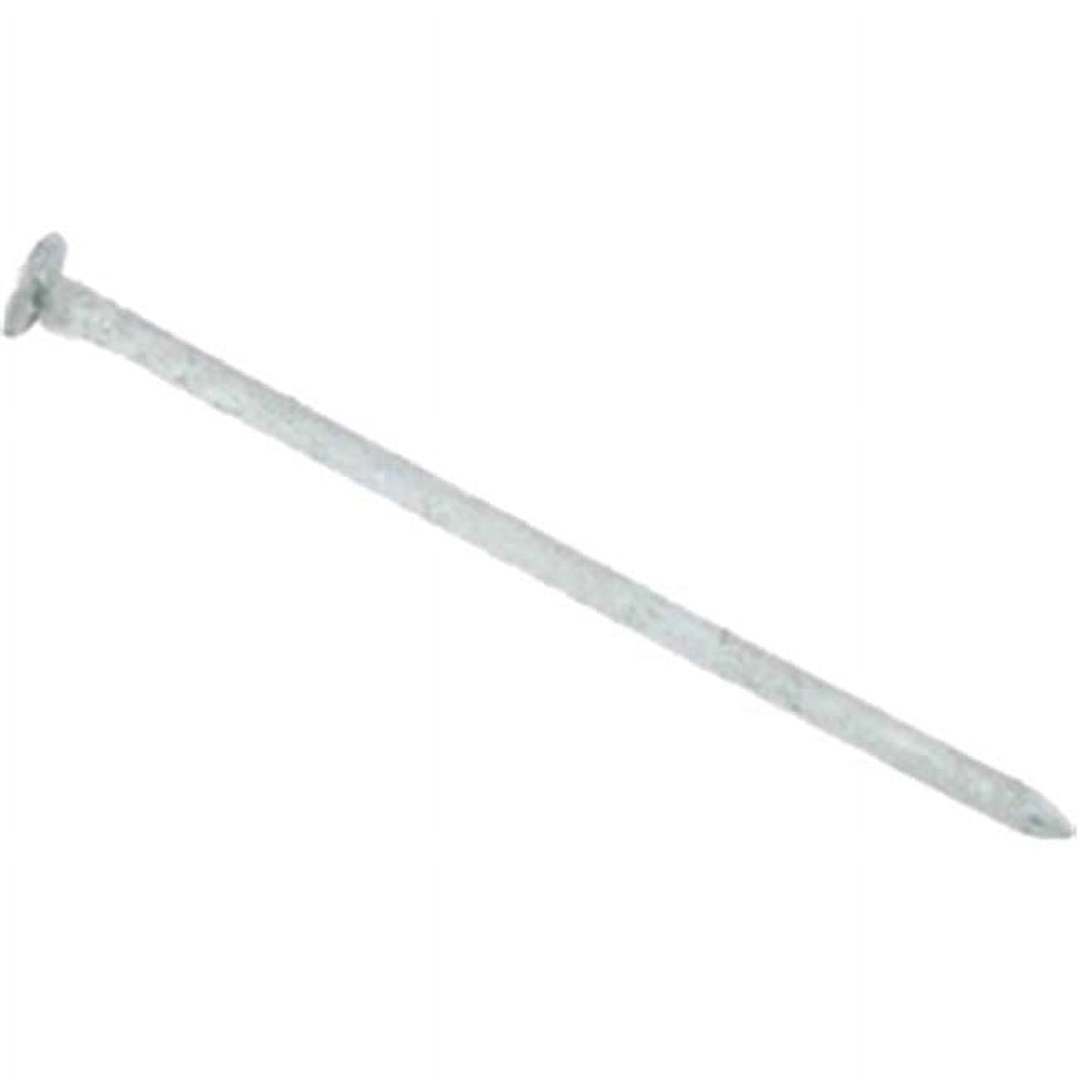Grip-Rite 6D 2 in. Common Hot-Dipped Galvanized Steel Nail Flat Head 1 lb